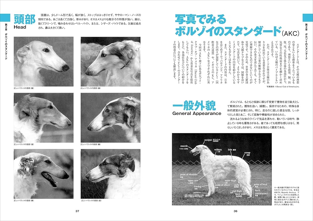 Amazon.co.jp: ボルゾイの事典: 性格、飼育、沿革、繁殖まですべてが