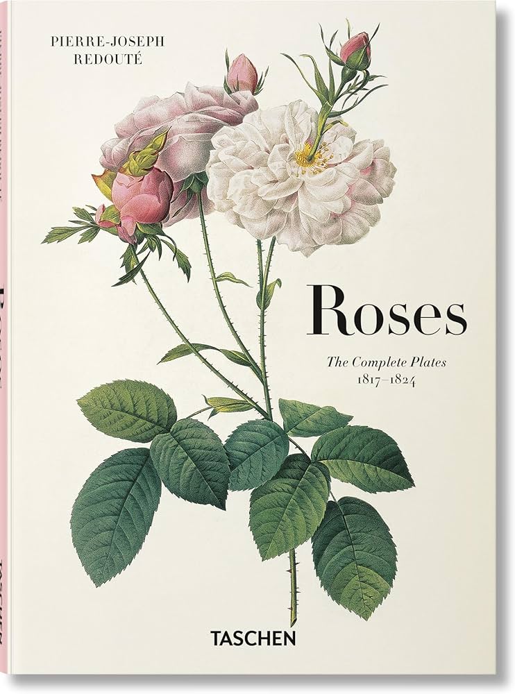 Redouté. Roses (Multilingual Edition): Redoute, Pierre-Joseph