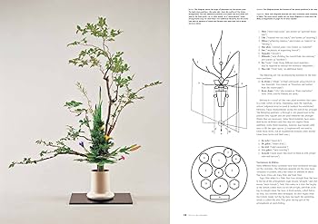 生け花 - Ikebana : The Art of Arranging Flowers | 佐藤 昌三, Shozo