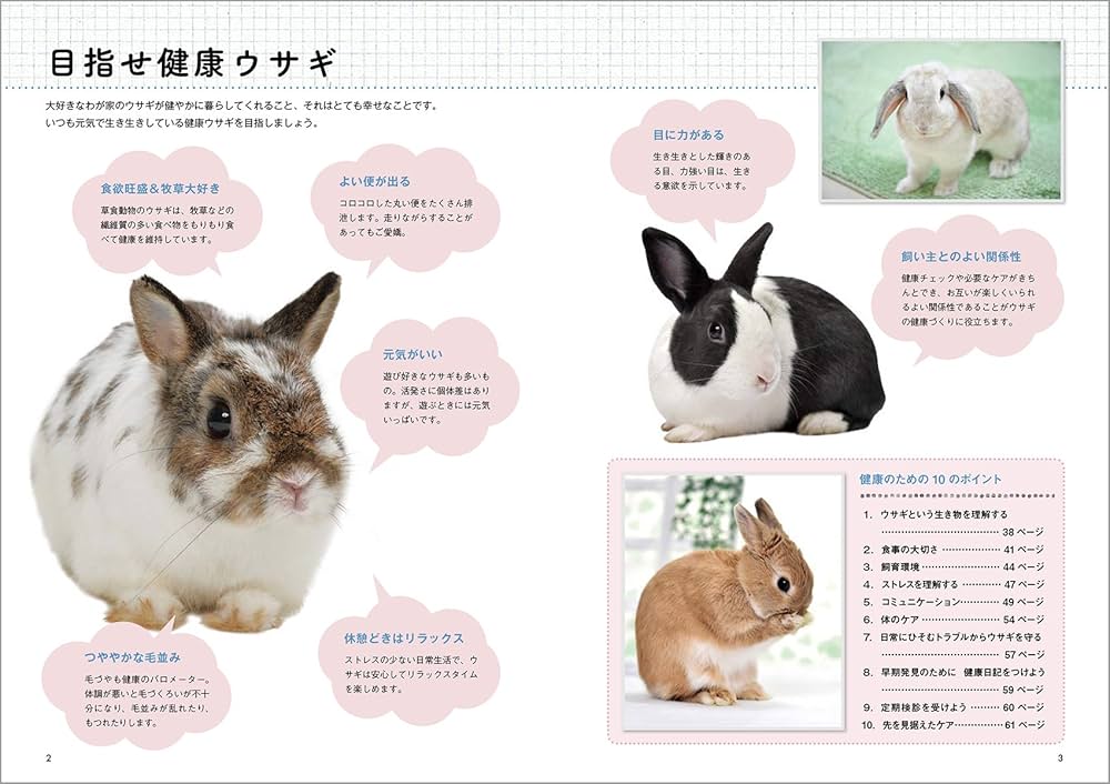 新版 よくわかるウサギの健康と病気: かかりやすい病気を中心に症状