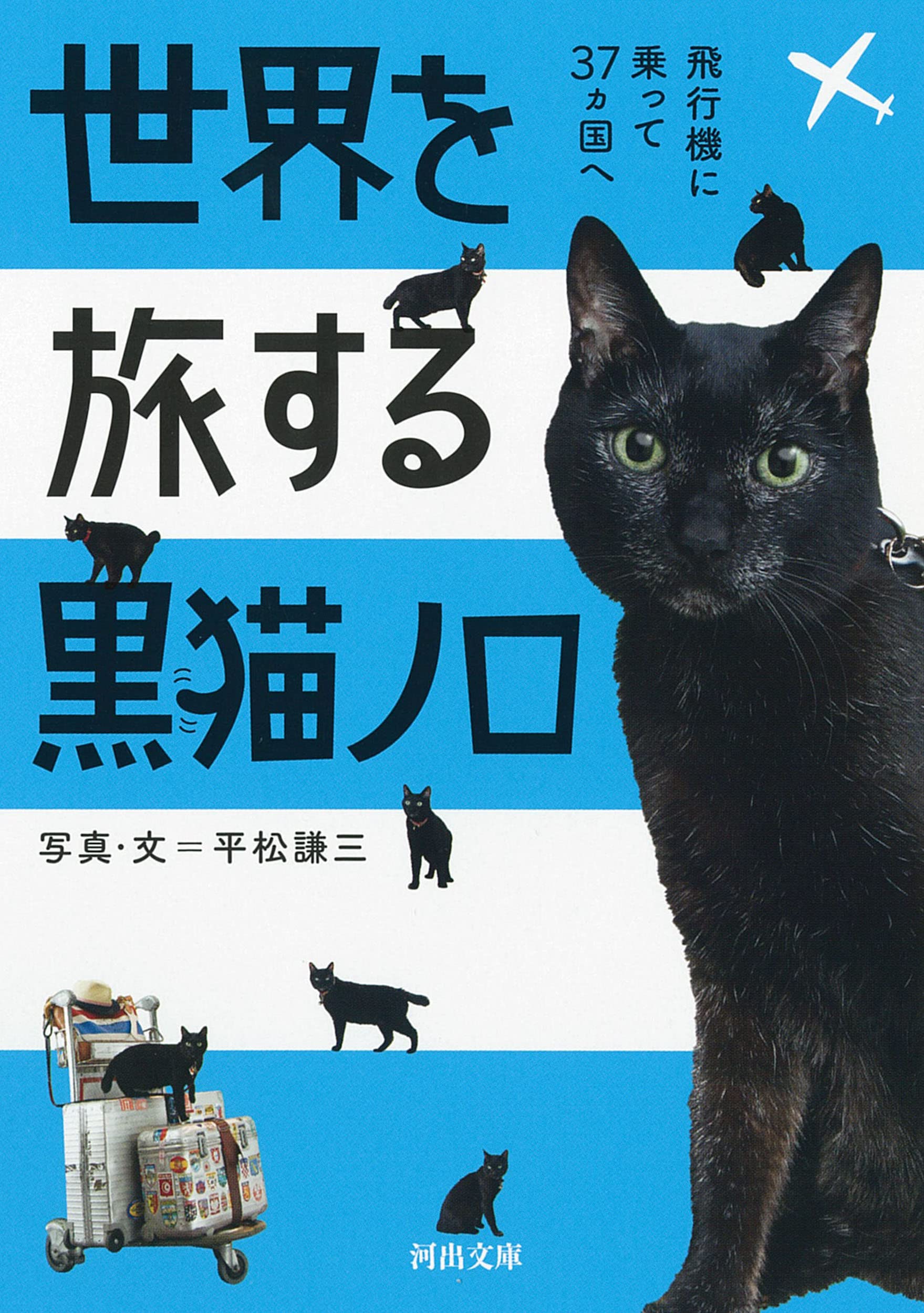 黒猫Jack(プロフ必読) 準備中 専用ページ 黒猫Jack(プロフ必読)様10/28