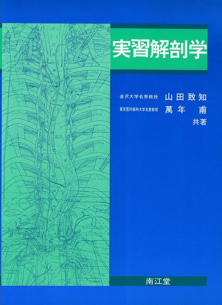 実習解剖学 | 山田 致知, 萬年 甫 |本 | 通販 | Amazon