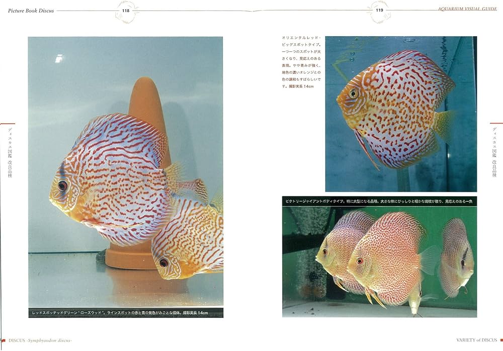 Amazon.co.jp: ディスカス完全飼育 (アクアリウム・ビジュアルガイド