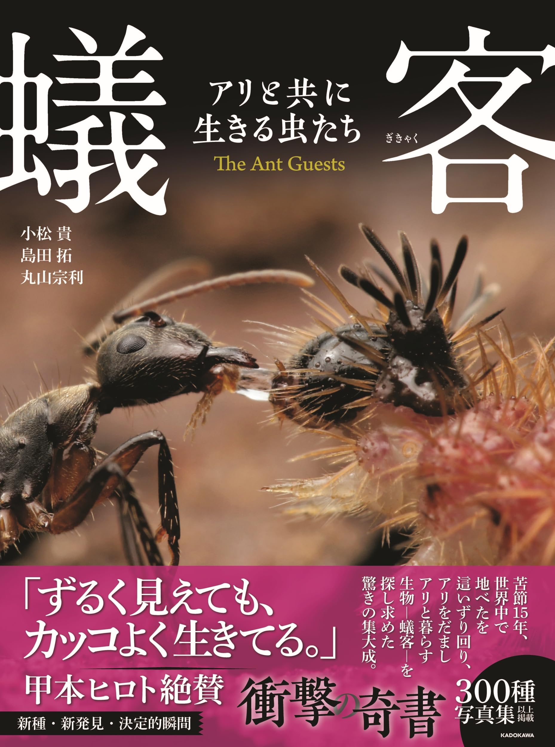 蟻客 アリと共に生きる虫たち | 小松 貴, 島田 拓, 丸山 宗利 |本