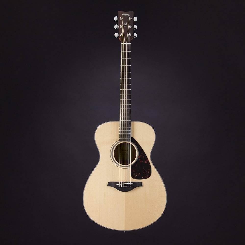 Yamaha FS 800 NT Natural - Acoustic Guitar : Amazon.ca: Musical