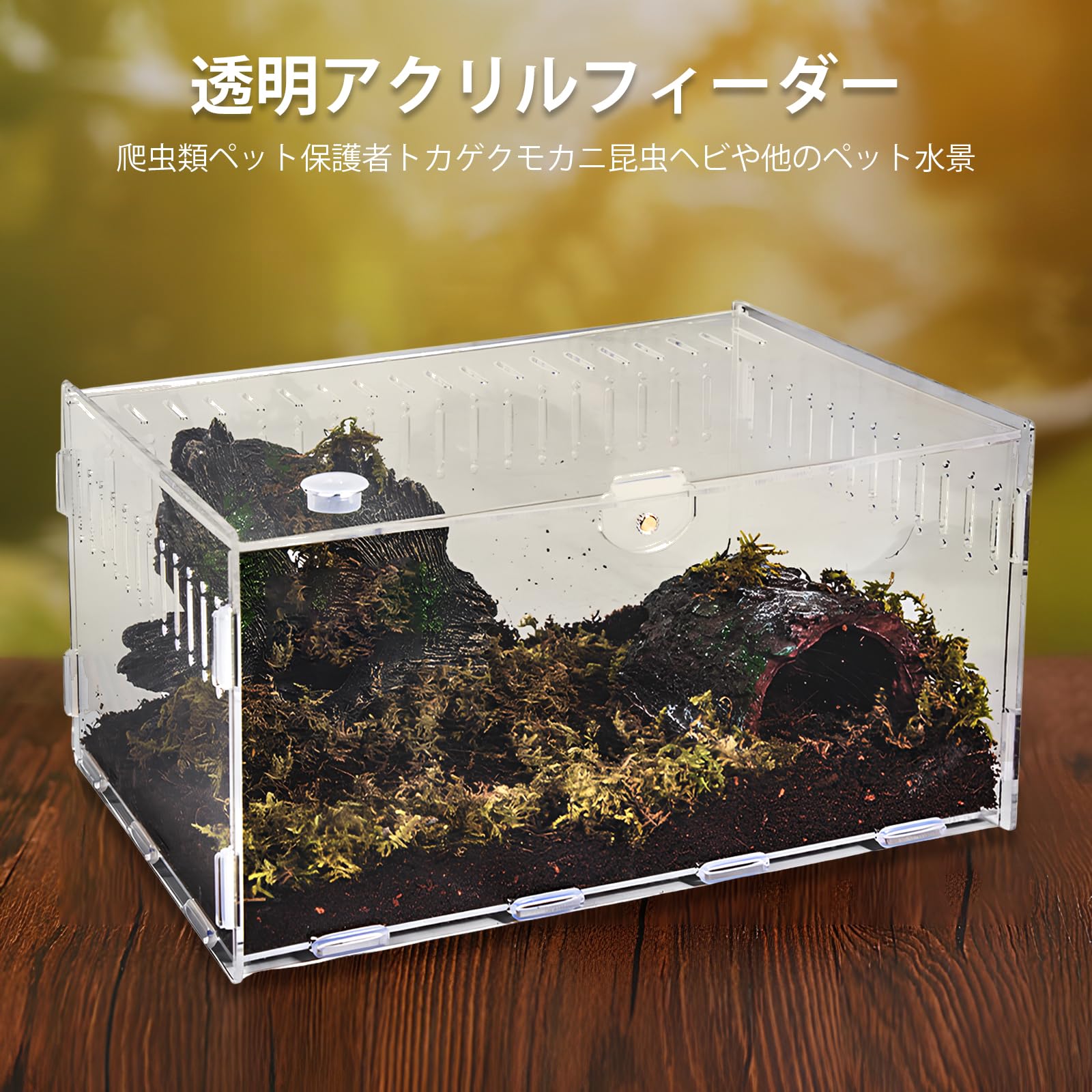 Amazon | 爬虫類 ケージ トカゲ ケージ カナヘビ飼育ケース レプタイル