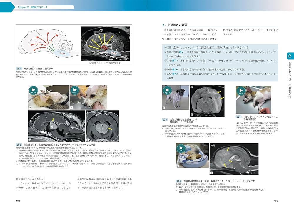 エッセンシャル 犬と猫の神経病診療 | 長谷川 大輔, 伊藤 大介 |本