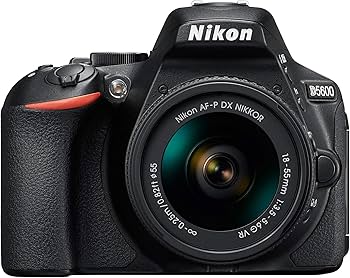 Amazon.com : D5600 DX-Format Digital SLR w/AF-P DX NIKKOR 18-55mm