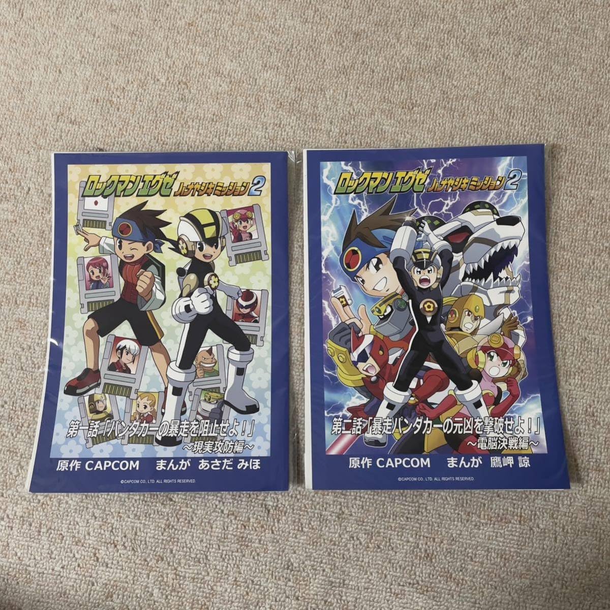 Amazon.co.jp: ロックマンエグゼ ハナヤシキミッション2 描き下ろし