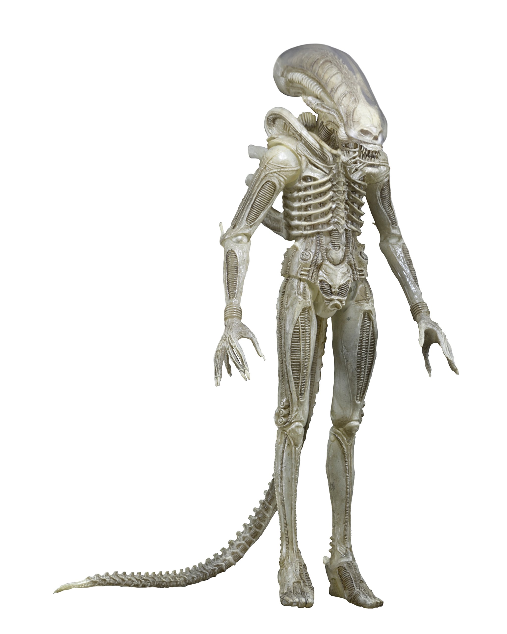 Amazon.com: NECA Aliens Series 7 Concept 79' Action Figure (7