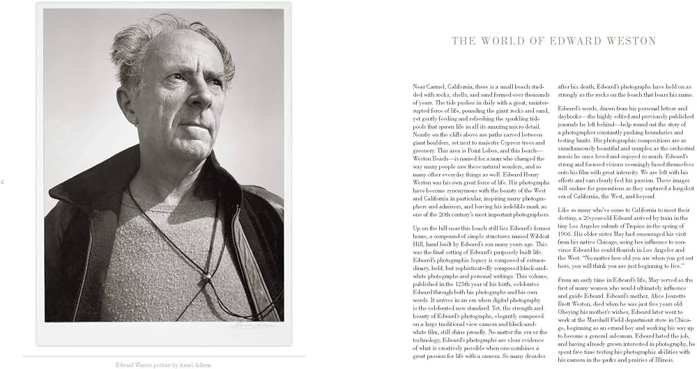 81cjPls-PzL._AC_UF1000,