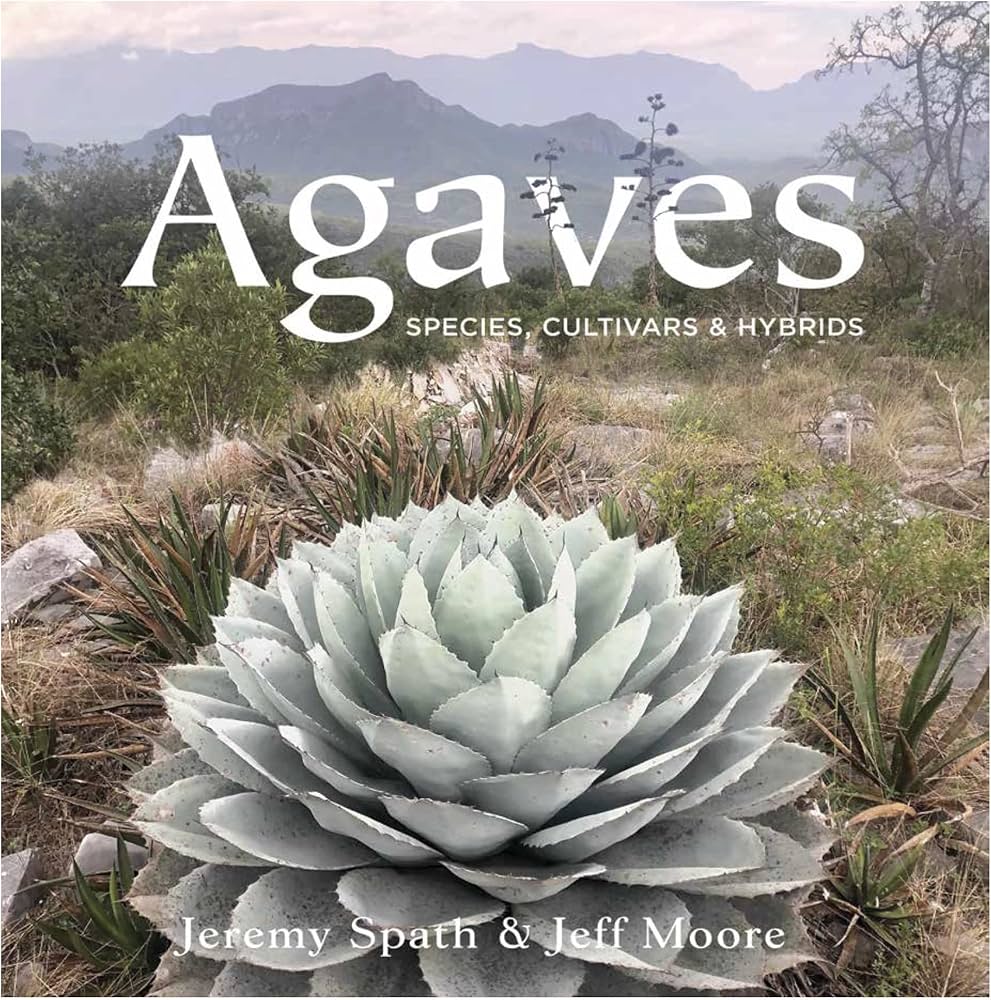 Amazon.co.jp: Agaves: Species, Cultivars & Hybrids : 本