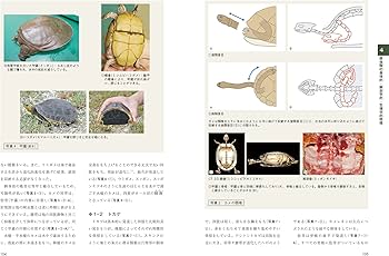 カラーアトラスエキゾチックアニマル 爬虫類・両生類編 第2版 | 霍野