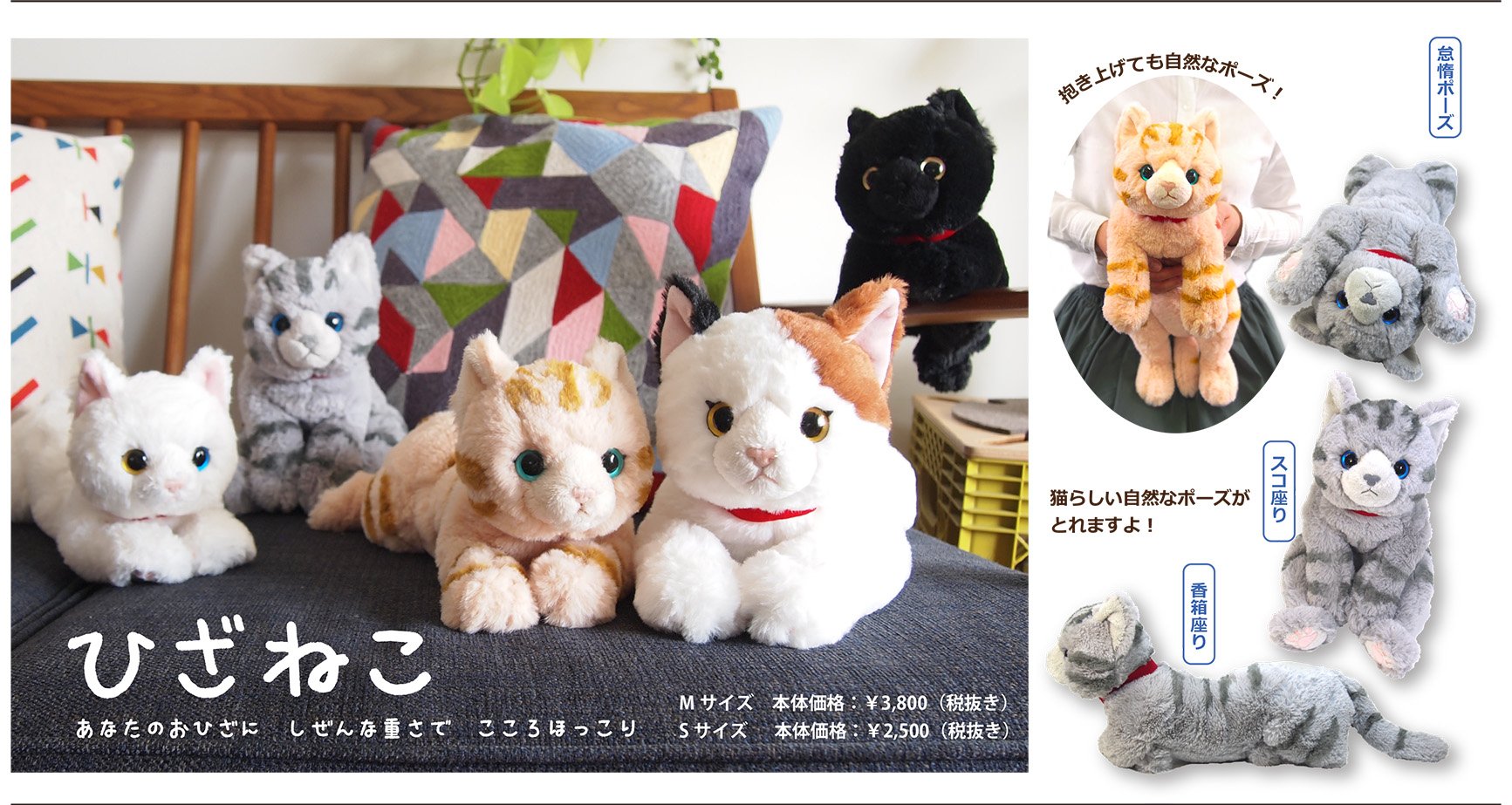 Amazon.co.jp: サンレモン(SUN LEMON) ひざねこ ぬいぐるみ ミケ M