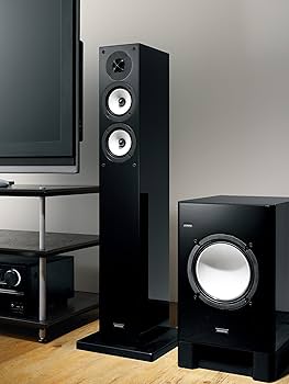 Amazon.co.jp: ONKYO 2ウェイ・スピーカーシステム (1台)D-309E(D