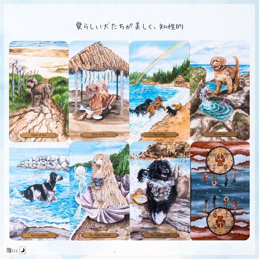 Amazon.co.jp: I.I.J タロットカード マジカル・ドック・タロット