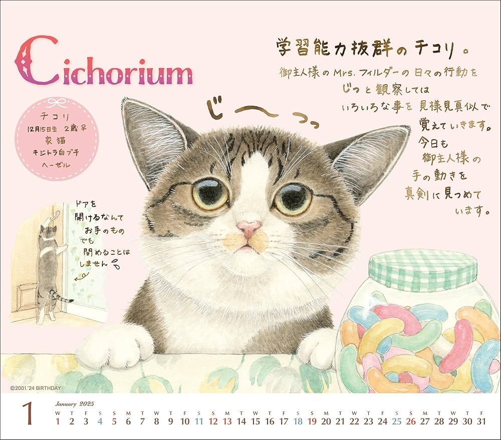 Amazon.co.jp: 2025 ミニカレンダーナーゴの猫たち プレミアム（卓上