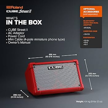 Amazon.com: Roland Cube Street II | Portable Battery-Powered