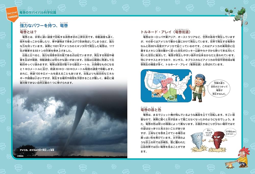 81ggaWBhHvL._AC_UF1000,