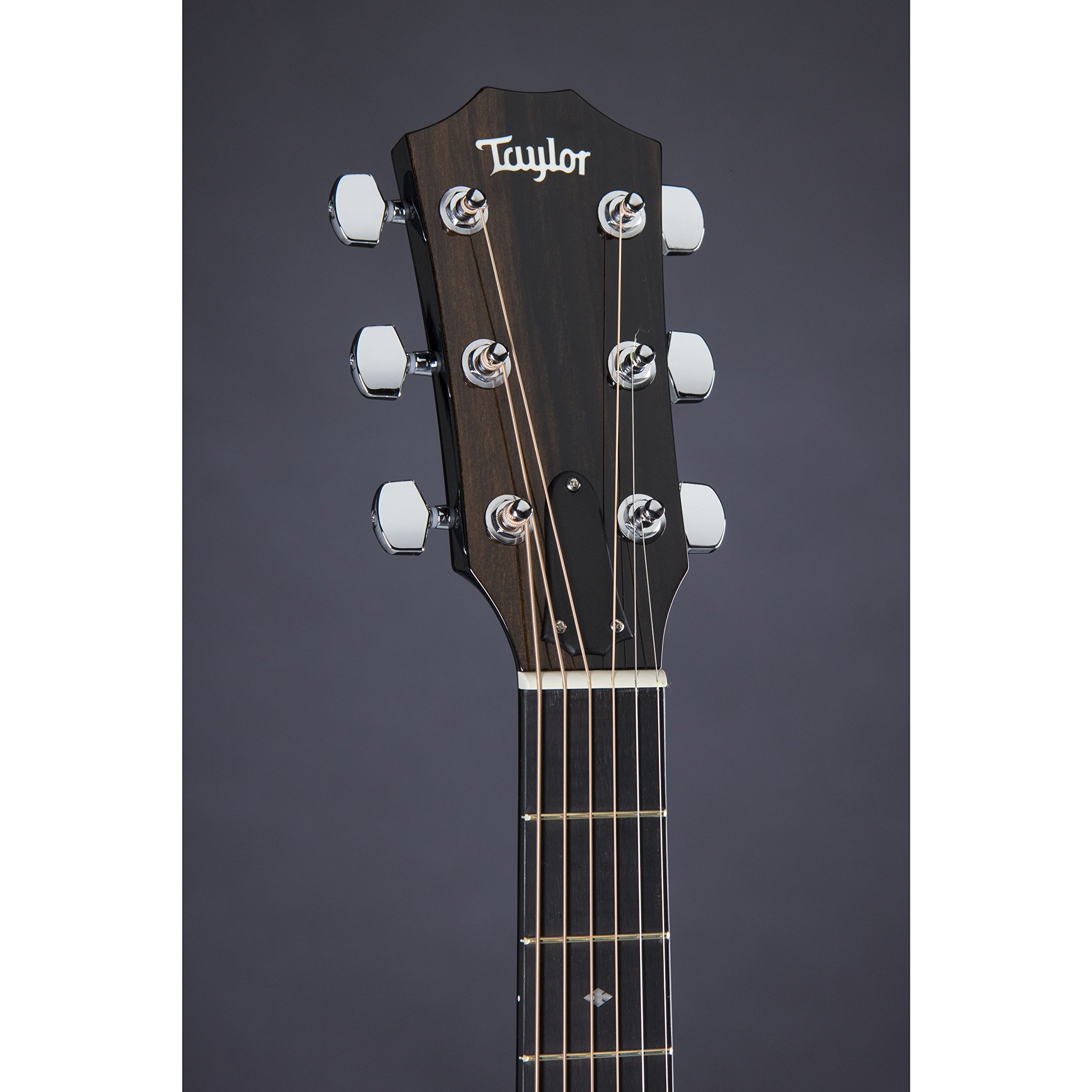 Amazon | Taylor 214ce Deluxe - Black アコースティックギター アコギ