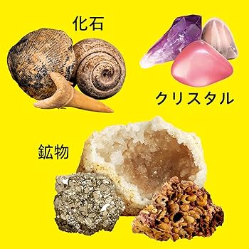 81gkrnswfqS._AC_UF350,