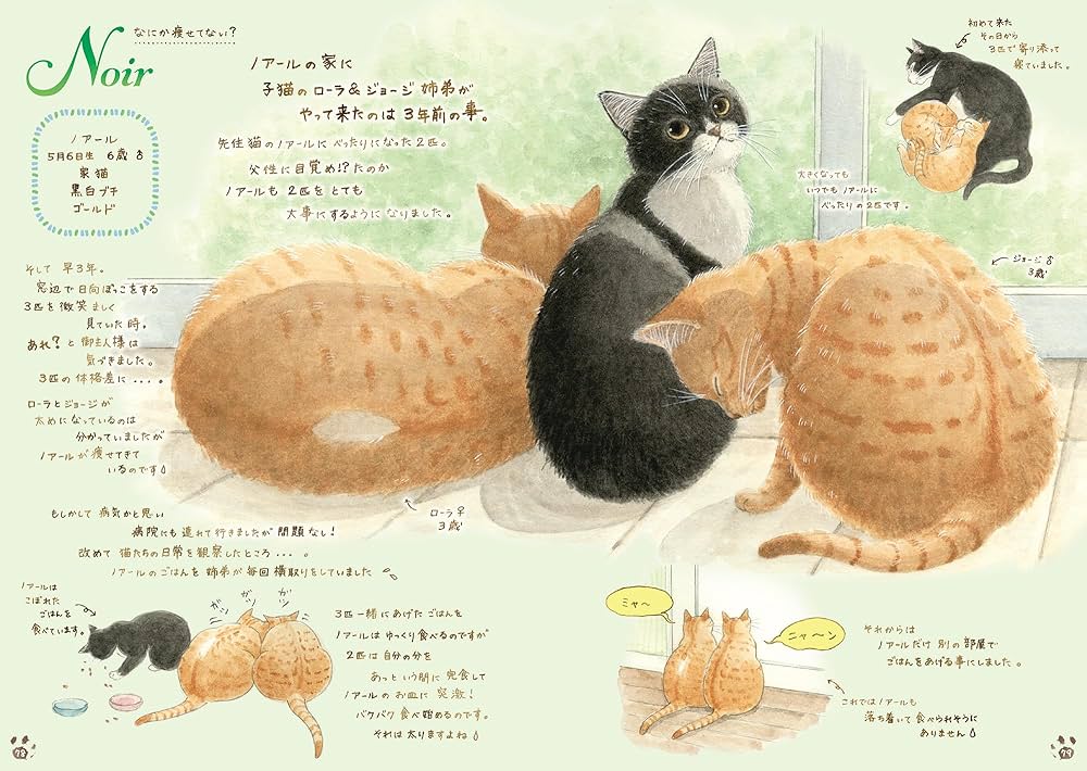 81gyE56jp+L._AC_UF1000,