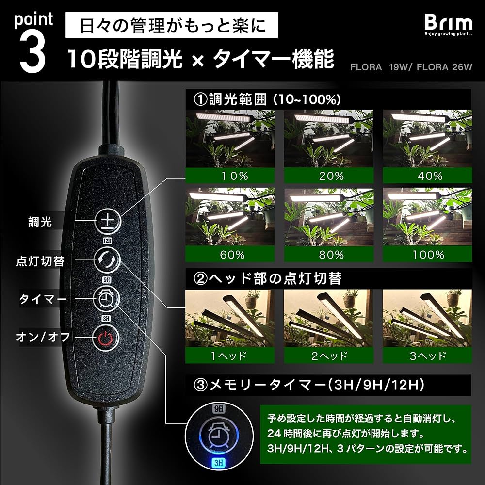 81hoipRigdL._AC_UF1000,