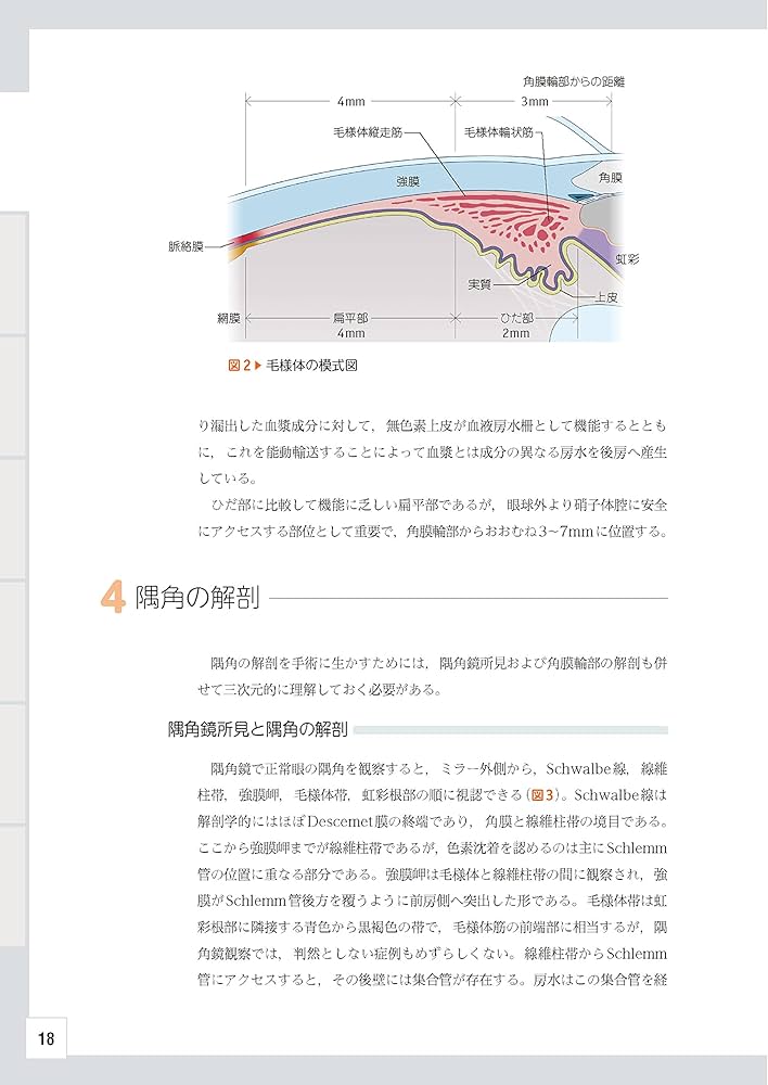 眼科レジデントのためのベーシック手術 ─ 電子版付 ─ | 谷戸正樹 |本