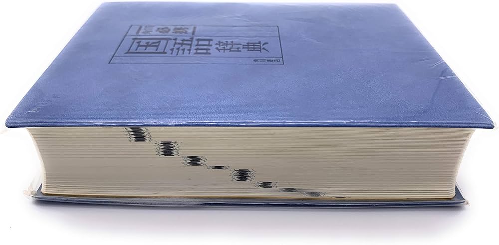 81ibLHFeigL._AC_UF1000,