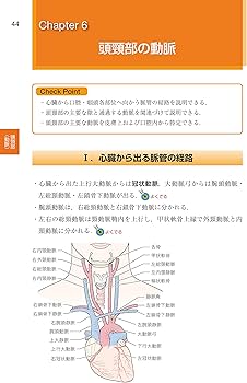口腔解剖学 (歯科国試パーフェクトマスター) | 阿部 伸一 |本 | 通販