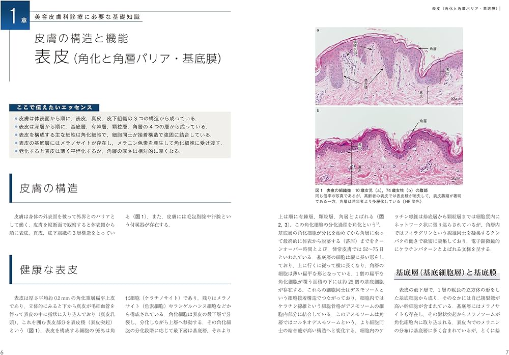 美容皮膚科学のきほん (最新美容皮膚科学大系 1) | 宮地良樹, 宮田成章