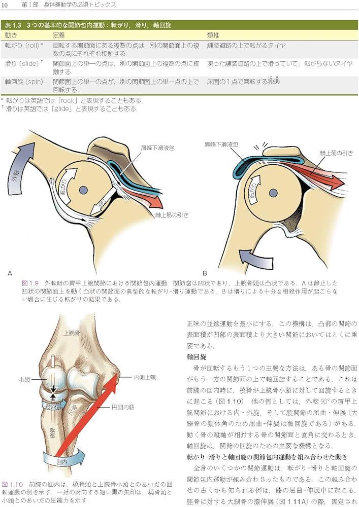 筋骨格系のキネシオロジー 原著第3版 | Donald A.Neumann, P.D.Andrew