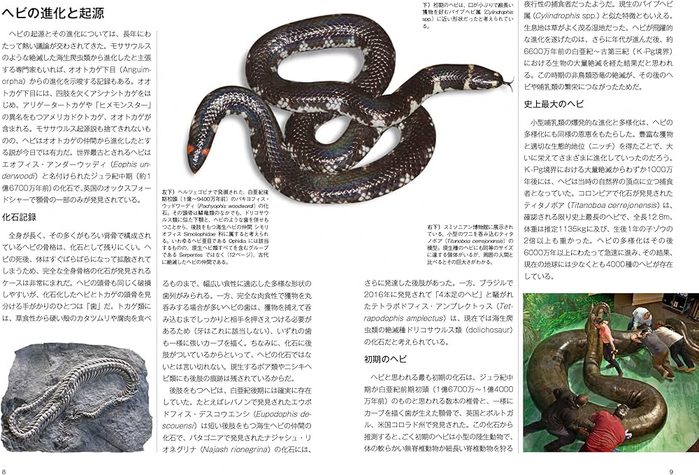 ヘビ大全 SNAKES OF THE WORLD | マーク・オシー, 松倉 真理, 富田 京