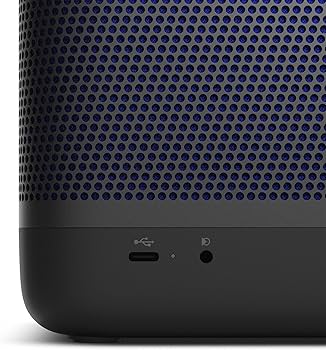 Amazon.com: Bang & Olufsen Beolit 20 Powerful Portable Wireless