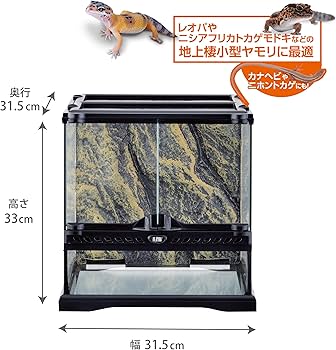 Amazon | GEX EXOTERRA レオパ飼育キット GT3030 爬虫類用ガラスケージ