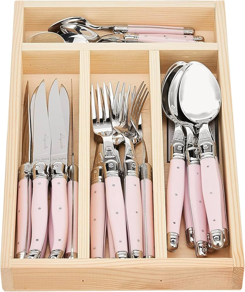 Amazon.com | Jean Dubost JD07-13152.PINK 24 Piece Flatware Set 24
