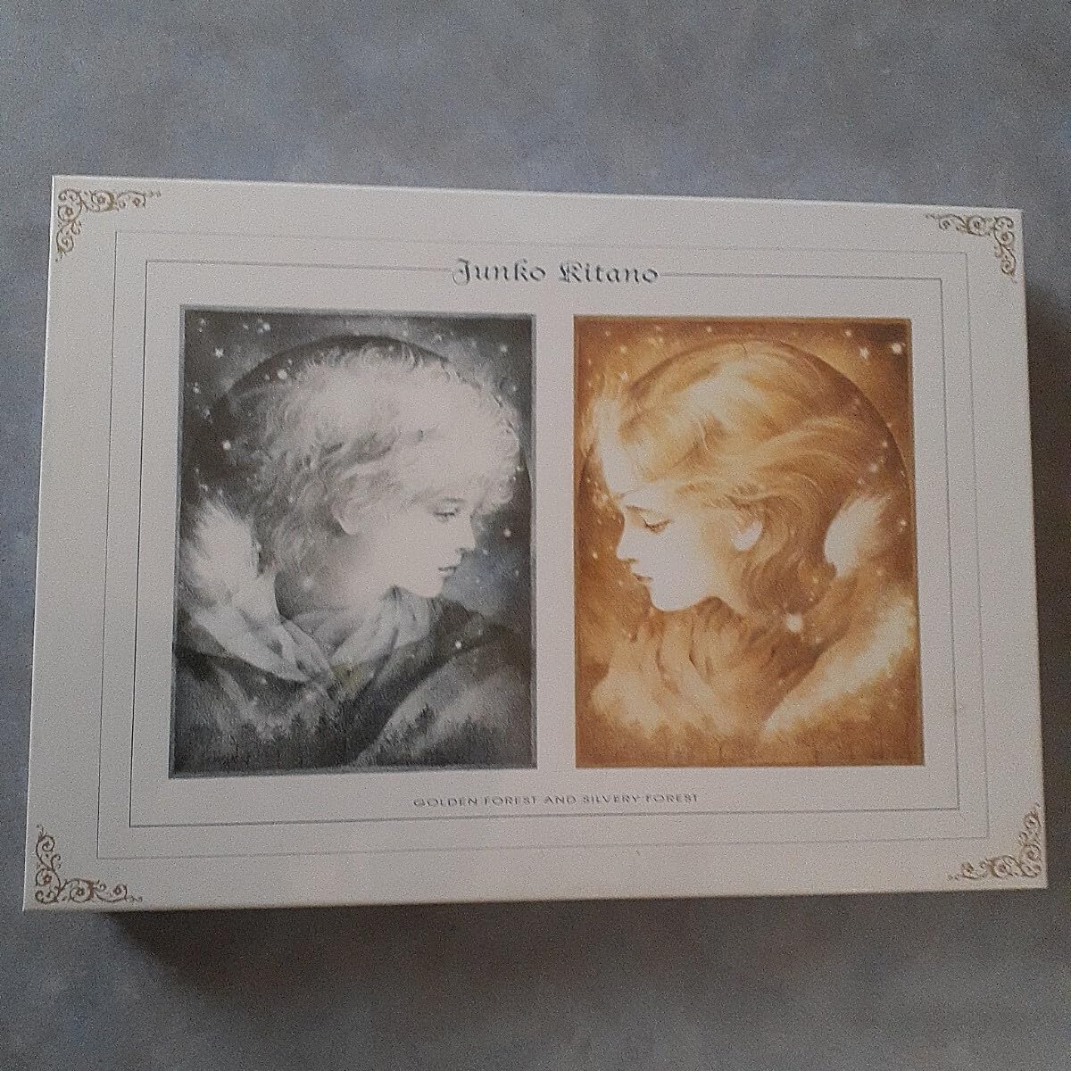 Amazon | / きたのじゅんこ ジグソーパズル 1000ピース 金の森銀の森