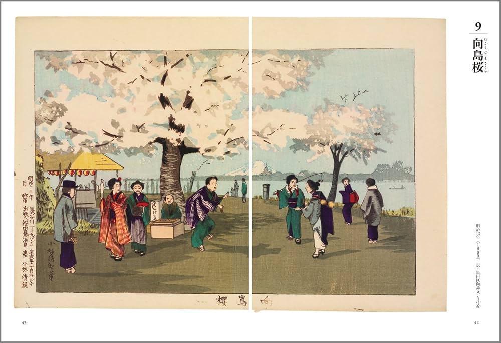 Amazon.co.jp: 東京名所図 (謎解き浮世絵叢書) : 小林清親, 桑山童奈