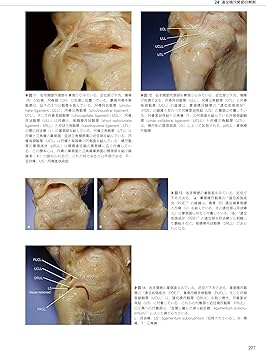 The Grasping Hand 日本語版(グラスピング・ハンド): 手・上肢の構造と