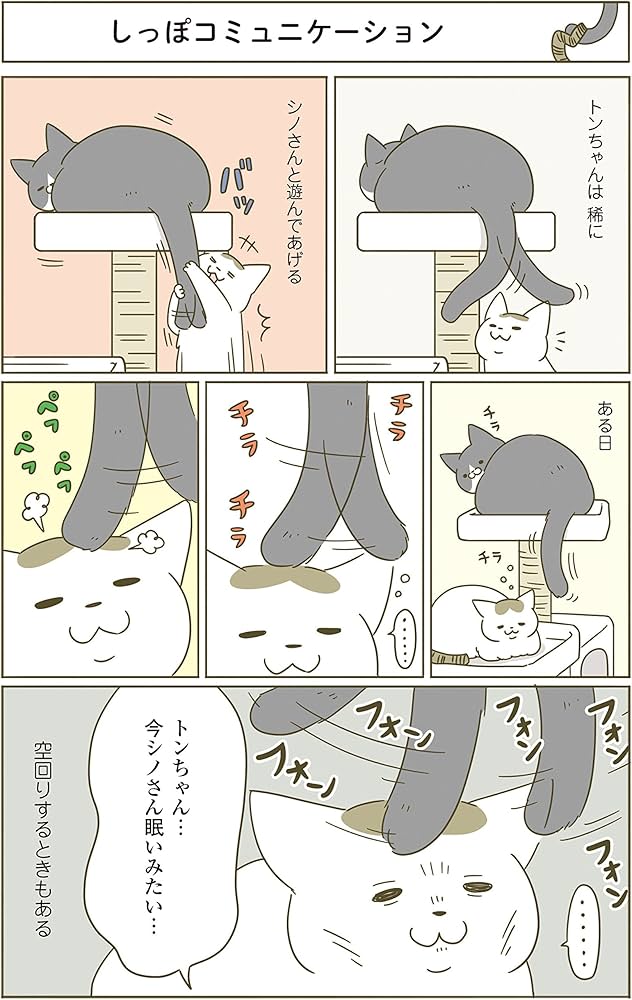 Amazon.com: Our cat is also doing weird things. 3 (factory comic