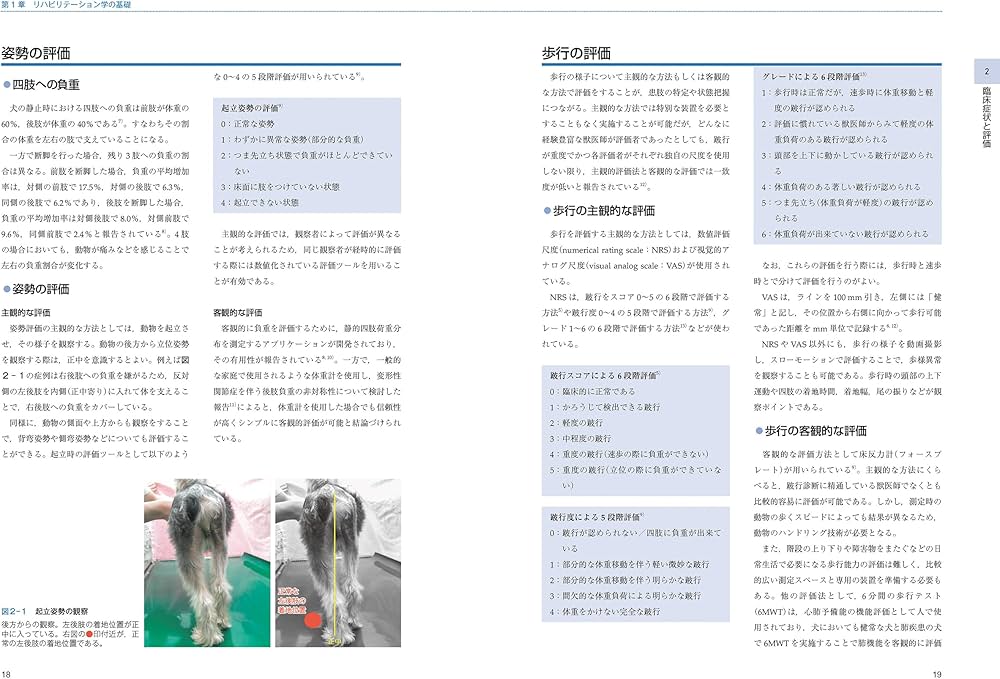犬と猫のリハビリテーション学:疾患別の施術と飼い主指導 | 宮田 拓馬