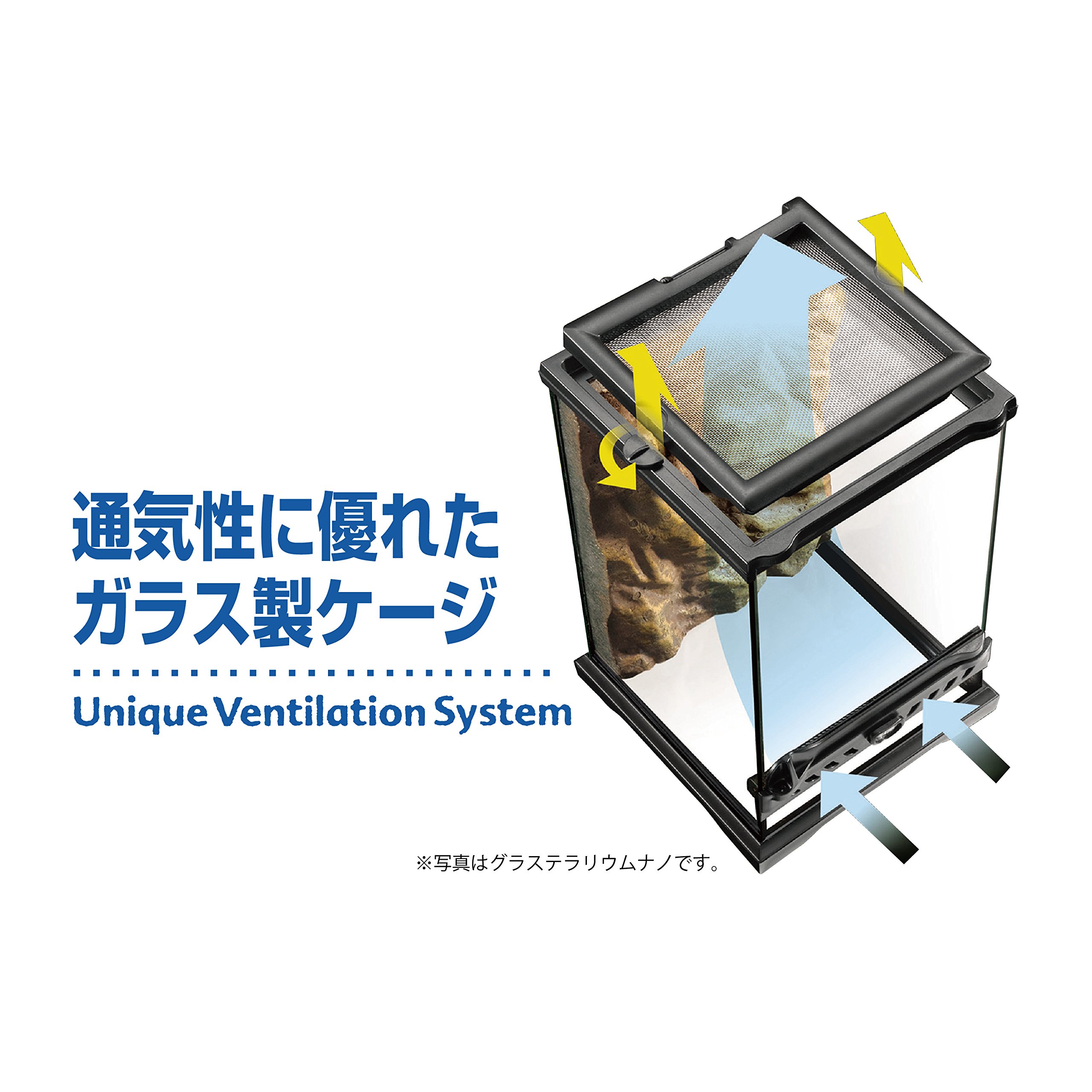 Amazon | エキゾテラ GEX EXOTERRA グラステラリウム 6045 PT2610