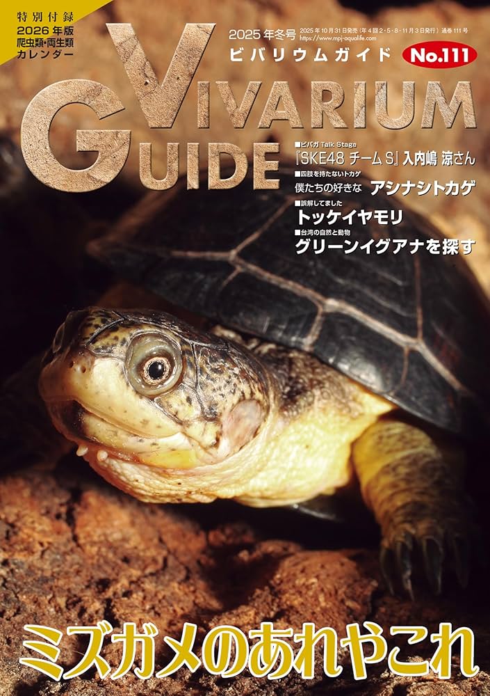 ビバリウムガイド No.111 2025年 12 月号 ミズガメのあれやこれ ☆特別