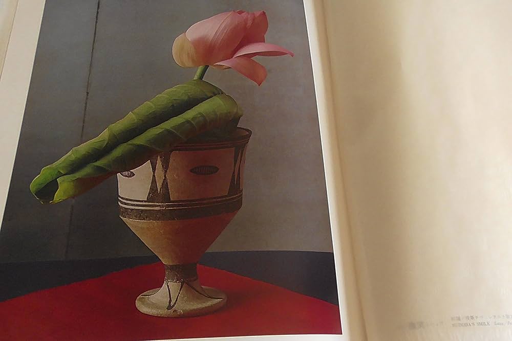 Amazon.co.jp: 華―中川幸夫作品集 (1977年) : Japanese Books