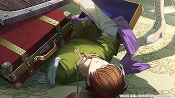 Amazon.co.jp: 【Switch】テミラーナ国の強運姫と悲運騎士団 : ゲーム