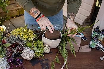 Amazon.com: Oasis Forage Floral Foam Strong | Securely Holds