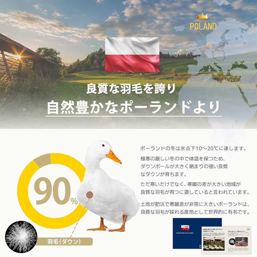 Amazon｜【ポーランド産高級羽毛使用】 GOOSEA 羽毛布団 ダウン90