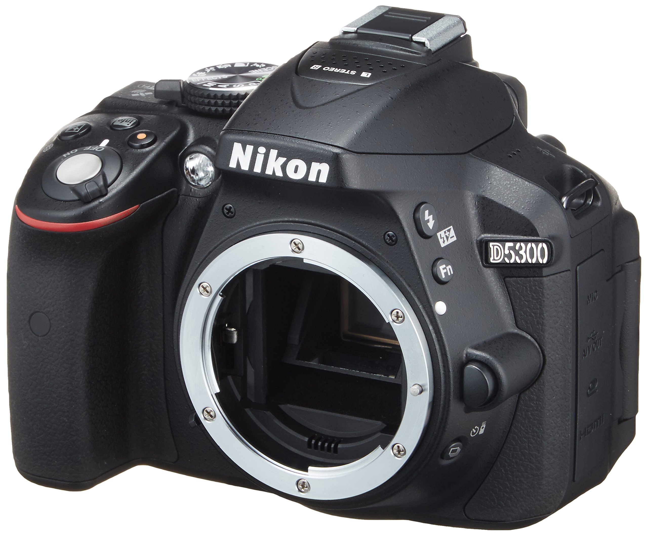 Amazon.com : Nikon D5300 24.2 MP CMOS Digital SLR Camera with