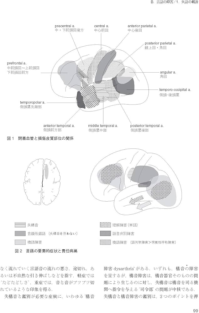 脳血管障害と神経心理学 第2版 | 平山 惠造 |本 | 通販 | Amazon
