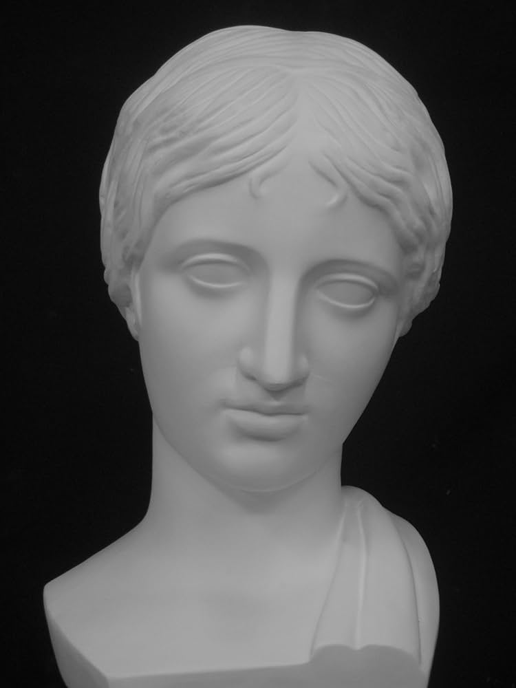 81oX2S9C9wL._AC_UF894,